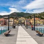 Corso Dante's Paradise Purple - Exclusive In *