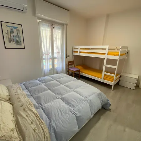 Corso Dante's Paradise Purple - Exclusive In