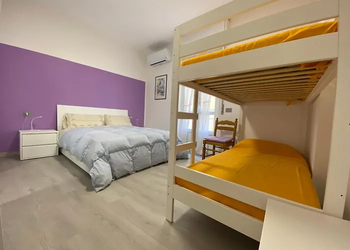 Corso Dante's Paradise Purple - Exclusive In *