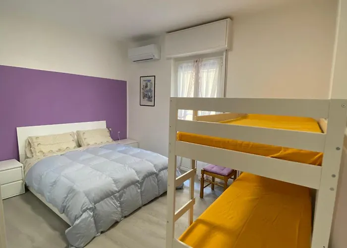 Corso Dante's Paradise Purple - Exclusive In